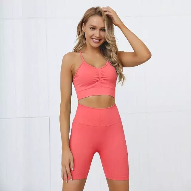 5 Colors Seamless Yoga Set Women 2PCS Sportwear